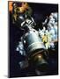 Apollo 13-Wilf Hardy-Mounted Giclee Print