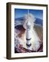 Apollo 15 Lifting Off Fr. Kennedy Space Center-null-Framed Photographic Print