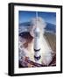 Apollo 15 Lifting Off Fr. Kennedy Space Center-null-Framed Photographic Print