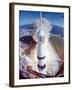 Apollo 15 Lifting Off Fr. Kennedy Space Center-null-Framed Photographic Print
