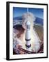 Apollo 15 Lifting Off Fr. Kennedy Space Center-null-Framed Photographic Print