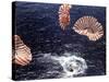 Apollo 15 Splashing Down in Pacific Ocean W. Parachutes Trailing Behind-null-Stretched Canvas