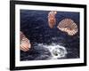 Apollo 15 Splashing Down in Pacific Ocean W. Parachutes Trailing Behind-null-Framed Photographic Print