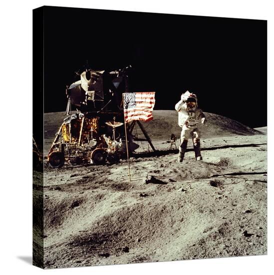 Stretched Canvas Print, , large
