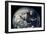 Apollo 16: Earth-null-Framed Giclee Print