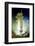 Apollo 17 Blasting Off-null-Framed Photographic Print