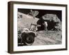 Apollo 17, December 1972:-null-Framed Premium Photographic Print