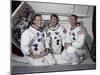 Apollo 7 Prime Crew-null-Mounted Photographic Print