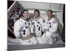 Apollo 7 Prime Crew-null-Mounted Photographic Print