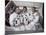 Apollo 7 Prime Crew-null-Mounted Photographic Print