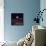 Apollo 8 Earth-null-Framed Stretched Canvas displayed on a wall