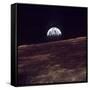 Apollo 8 Earth-null-Framed Stretched Canvas