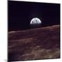 Apollo 8 Earth-null-Mounted Premium Photographic Print