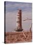 Apollo 9 Saturn V Rocket, 1969-null-Stretched Canvas