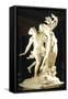 Apollo and Daphne, 1622-1625-Gian Lorenzo Bernini-Framed Stretched Canvas