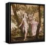 Apollo and Daphne, C.1560-65-Veronese-Framed Stretched Canvas