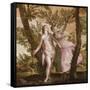 Apollo and Daphne, C.1560-65-Veronese-Framed Stretched Canvas