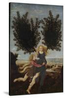 Apollo and Daphne, Ca. 1470-1480-Antonio Pollaiuolo-Stretched Canvas