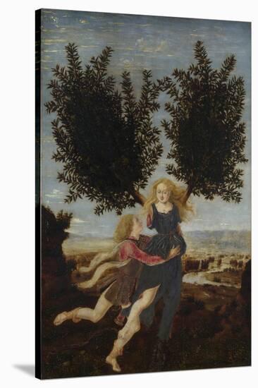 Apollo and Daphne, Ca. 1470-1480-Antonio Pollaiuolo-Stretched Canvas