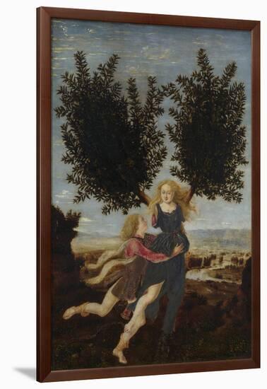 Apollo and Daphne, Ca. 1470-1480-Antonio Pollaiuolo-Framed Giclee Print