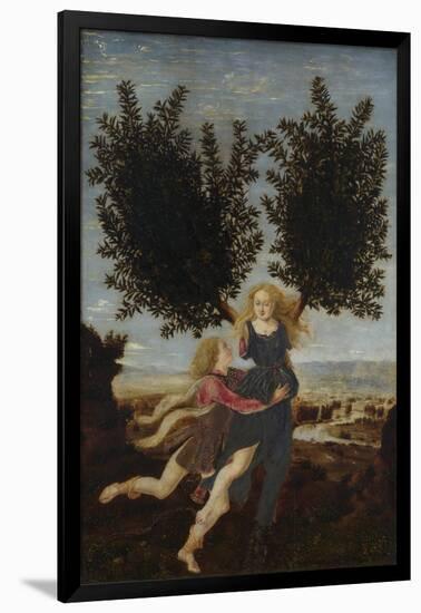 Apollo and Daphne, Ca. 1470-1480-Antonio Pollaiuolo-Framed Giclee Print