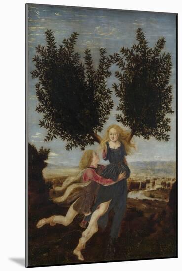 Apollo and Daphne, Ca. 1470-1480-Antonio Pollaiuolo-Mounted Giclee Print