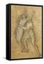 Apollo and Daphne-Andrea Appiani-Framed Stretched Canvas