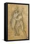 Apollo and Daphne-Andrea Appiani-Framed Stretched Canvas