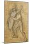 Apollo and Daphne-Andrea Appiani-Mounted Giclee Print