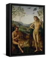 Apollo and Marsyas-Pietro Perugino-Framed Stretched Canvas
