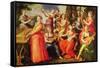 Apollo and the Muses (Oil on Wood)-Maarten de Vos-Framed Stretched Canvas