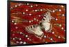 Apollo Butterfly on Tragopan Body Feather Design-Darrell Gulin-Framed Photographic Print