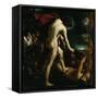 Apollo Flaying Marsyas, c.1618-Guercino-Framed Stretched Canvas