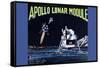 Apollo Lunar Module-null-Framed Stretched Canvas