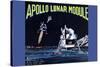 Apollo Lunar Module-null-Stretched Canvas