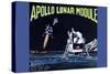 Apollo Lunar Module-null-Stretched Canvas