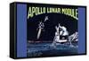 Apollo Lunar Module-null-Framed Stretched Canvas