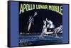 Apollo Lunar Module-null-Framed Stretched Canvas