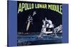 Apollo Lunar Module-null-Stretched Canvas