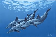 Swimming with the Dolphins-Apollo-Giclee Print