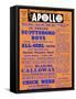 Apollo Theatre: Scottsboro Boys, Blanche Calloway, Chick Webb, Ella Fitzgerald, and More-null-Framed Stretched Canvas