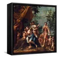 Apollo with Three Graces, Venus, Cupid and Pan-Marcantonio Franceschini-Framed Stretched Canvas