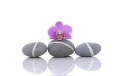 Stacked of Striped Stones and Pink Orchid-Apollofoto-Photographic Print