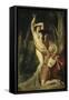 Apollon et Daphne-Theodore Chasseriau-Framed Stretched Canvas