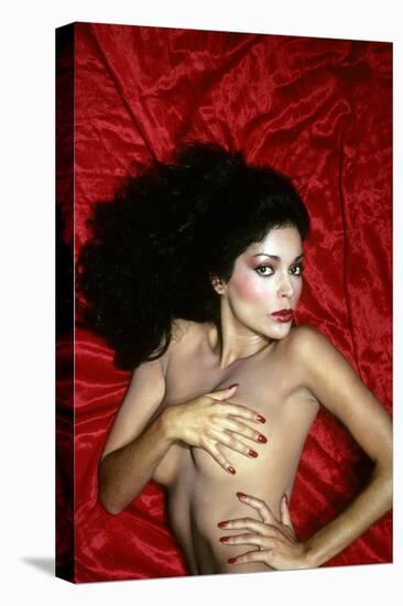 Apollonia Kotero-null-Stretched Canvas