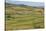 Apollonia, or Apoloni, Fier Region, Albania. Typical countryside viewed from the ruins of Apollo...-null-Stretched Canvas