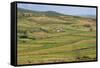 Apollonia, or Apoloni, Fier Region, Albania. Typical countryside viewed from the ruins of Apollo...-null-Framed Stretched Canvas