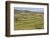 Apollonia, or Apoloni, Fier Region, Albania. Typical countryside viewed from the ruins of Apollo...-null-Framed Photographic Print