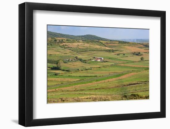 Apollonia, or Apoloni, Fier Region, Albania. Typical countryside viewed from the ruins of Apollo...-null-Framed Photographic Print