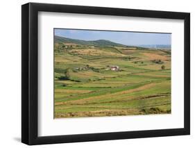 Apollonia, or Apoloni, Fier Region, Albania. Typical countryside viewed from the ruins of Apollo...-null-Framed Photographic Print